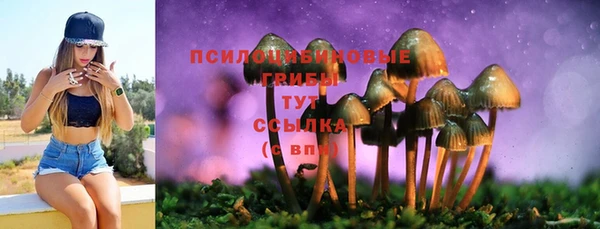 тгк Алексин